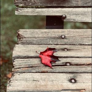 Meet your Posher, Maria